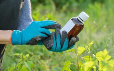 Organic Farming’s Secret Weapon: Herbicide Safeners and the Future of Your Food