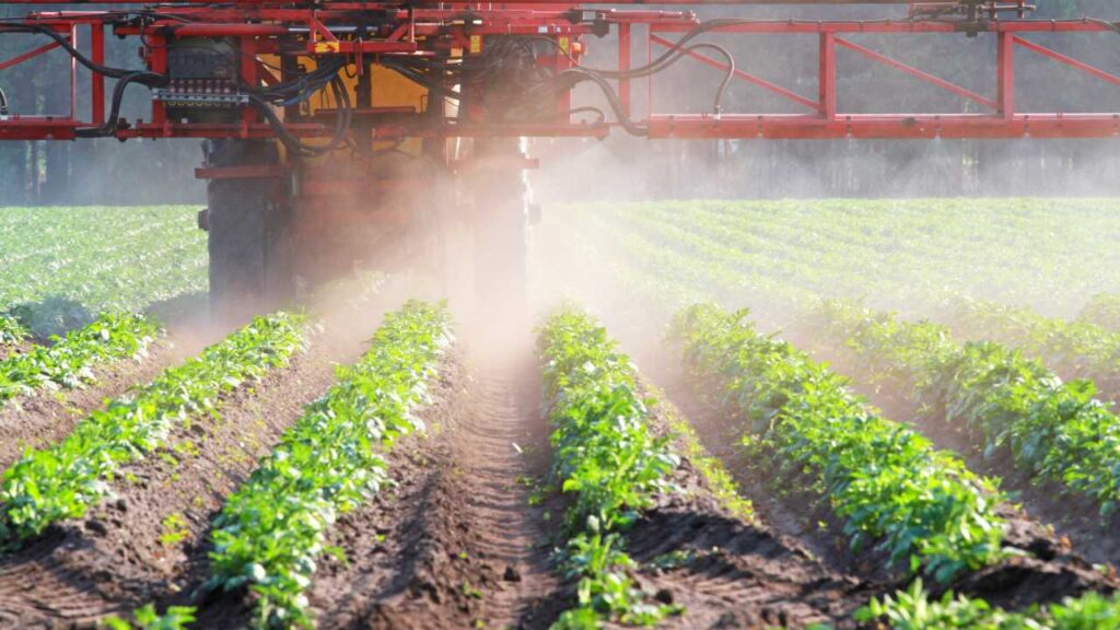 Organic Agriculture and Climate Change Mitigation: Cultivating a Sustainable Future