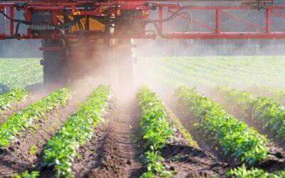 Harvesting Prosperity: The Vital Role of Irrigation in the Green Revolution’s Success