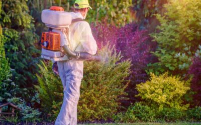 Safeguarding Harvests: A Deep Dive into Modern Crop Protection Methods