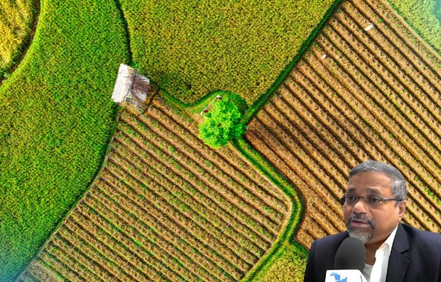 Green Innovation