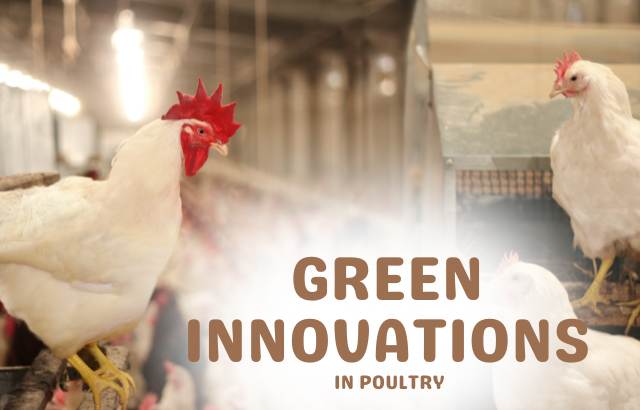 Green Innovations in Poultry Red Mite Management