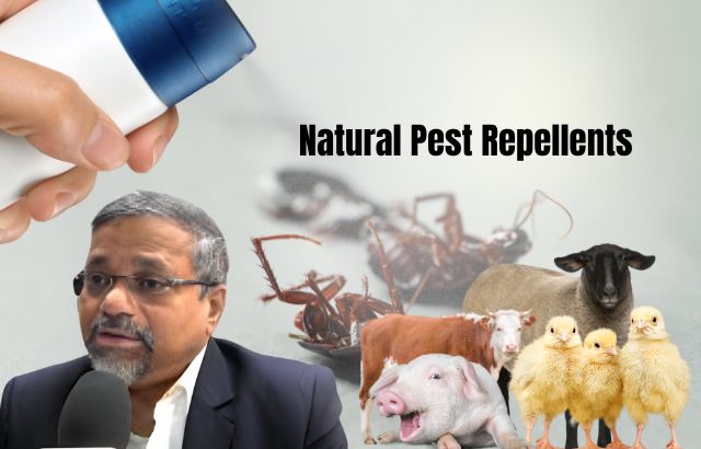 Natural Pest Repellents: