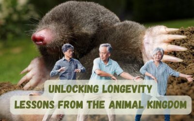 Unlocking Longevity: Lessons from the Animal Kingdom