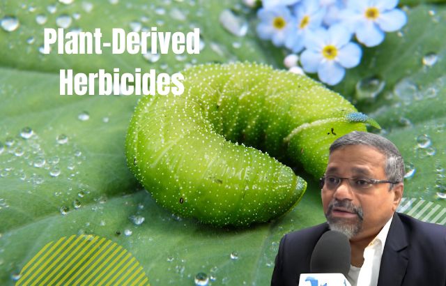 Plant-Derived Herbicides