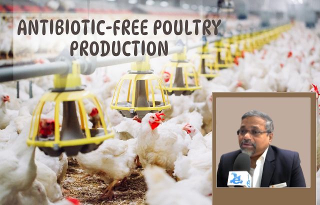Pathogen Reduction Techniques in Antibiotic-Free Poultry Production