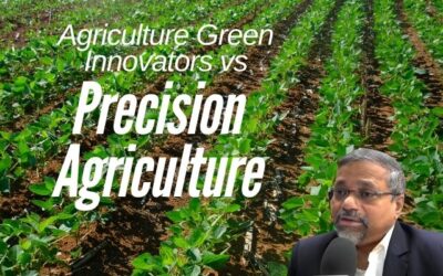 Agriculture Green Innovators vs. Precision Agriculture: Technology and Sustainability