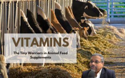 Vitamins: The Tiny Warriors in Animal Feed Supplements