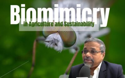Nature-Inspired Green Innovation: Biomimicry in Agriculture and Sustainability
