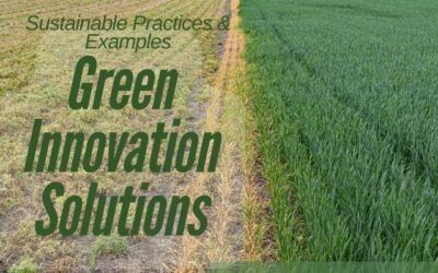 Holistic Thinking in Green Innovation: Transforming Industries for a Sustainable Future