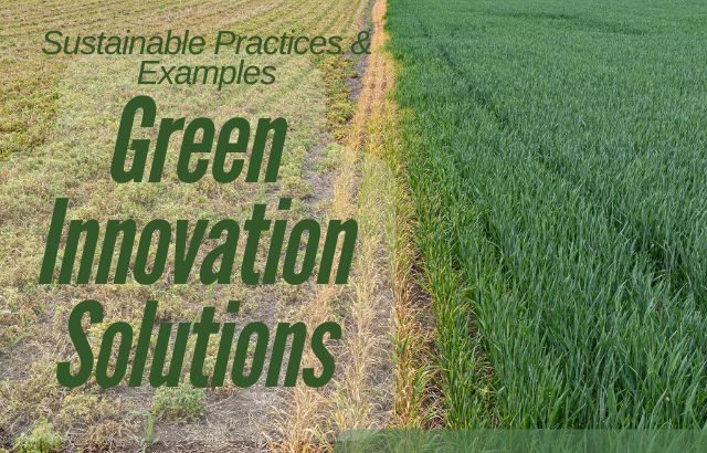 Green Innovation Solutions: Sustainable Practices & Examples
