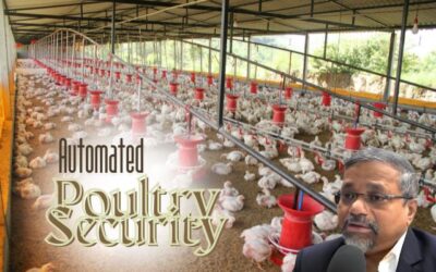How Automated Systems are Enhancing Poultry Farm Security