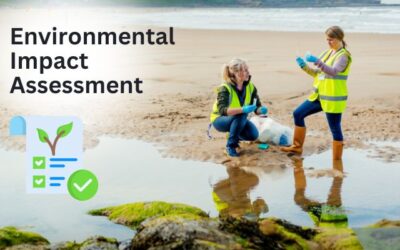 Environmental Impact Assessment (EIA): Predicting and Mitigating Risks