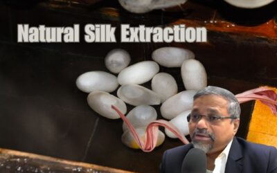 Natural Silk Production Through Proprietary Extraction: A Green Innovation in B2B Businesses
