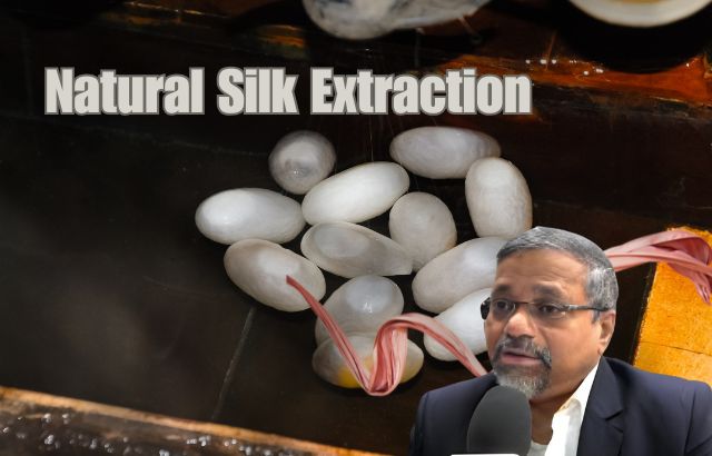 Natural Silk Extraction