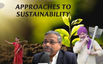 Agriculture Green Innovators vs. Traditional Farmers: Approaches to Sustainability