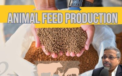 Animal Feed Production: Nourishing India’s Livestock for a Sustainable Future
