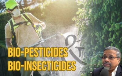 Bio-Pesticides and Bio-Insecticides: Cultivating a Sustainable Future for Agriculture
