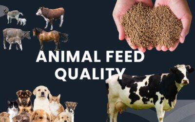 From Farm to Feed: Ensuring Animal Nutrition Through Quality Control