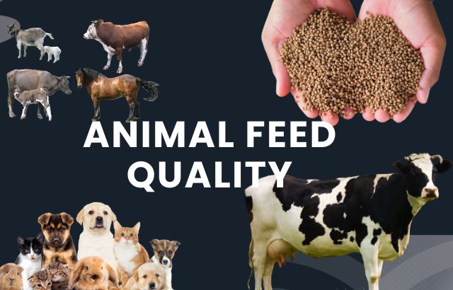 Animal Feed Quality