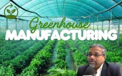 Greenhouse Manufacturing: Revolutionizing Sustainable Agriculture