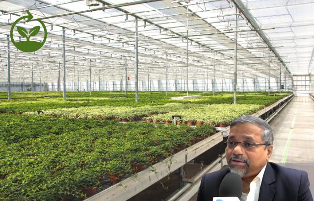 Greenhouse Manufacturing: Revolutionizing Sustainable Agriculture