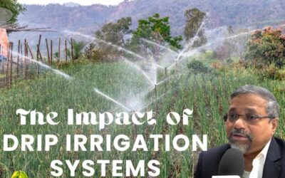 Revolutionizing Agriculture: The Impact of Drip Irrigation Systems