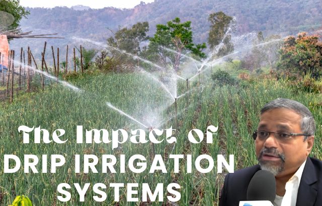 Drip Irrigation Systems