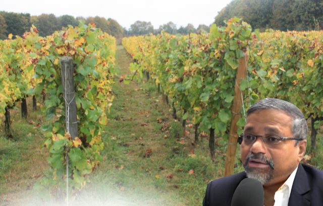 Promoting Crop Diversity