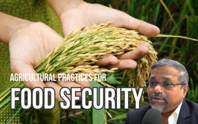 Optimizing Agricultural Practices for Food Security: A Vision for the Future