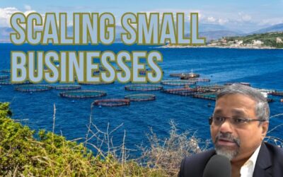 Scaling Small Businesses with Green Innovation