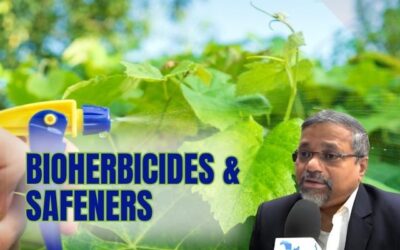 Bioherbicides & Safeners: Sustainable Solutions for Farming