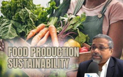 Agri-Food Systems Researcher: Enhancing Food Production with Sustainability at its Core