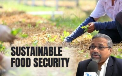 Green Innovation in Agriculture: Paving the Path to Sustainable Food Security