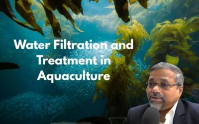 The Importance of Water Filtration and Treatment in Aquaculture: Advancing with Biofilters and Mechanical Filters