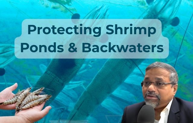 Protecting Shrimp Ponds & Backwaters: