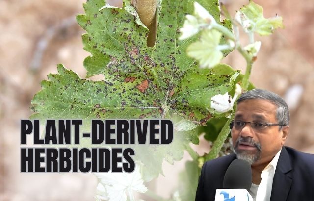 Rethinking Success: Why Mistakes Are the Stepping Stones to Greatness in the Realm of Plant-Derived Herbicides and Bioherbicides