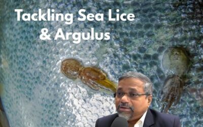 Tackling Sea Lice & Argulus: Eco-Friendly Solutions for a Healthier Aquaculture Industry