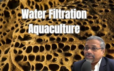 The Importance of Water Filtration and Treatment in Aquaculture: Advancing with Biofilters and Mechanical Filters