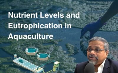 The Link Between Nutrient Levels and Harmful Algal Blooms: Understanding Eutrophication in Aquaculture