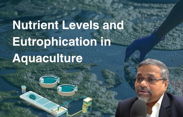 The Link Between Nutrient Levels and Harmful Algal Blooms: Understanding Eutrophication in Aquaculture