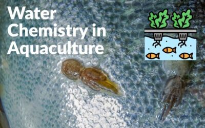 Understanding Water Chemistry in Aquaculture: Why Regular Monitoring Matters