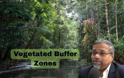 Creating Vegetated Buffer Zones: A Key to Protecting Water Quality and Ecosystems