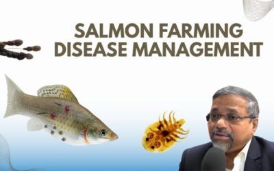 Tackling Fish Health in Aquaculture: Innovative Approaches to Disease Management