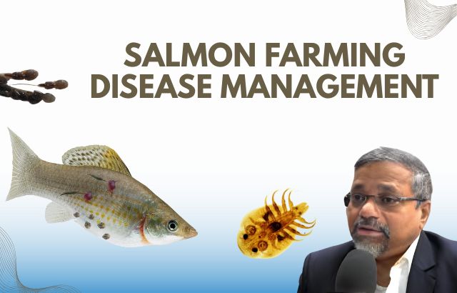 Salmon farming disease management