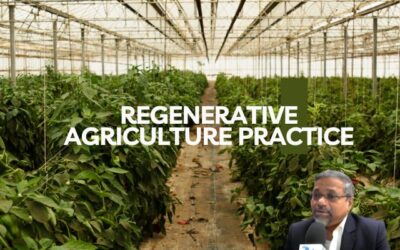Global Examples of Regenerative Agriculture Practices for a Sustainable Future
