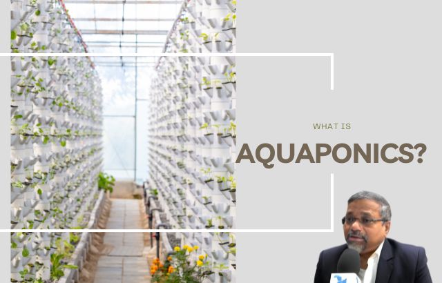How Aquaponics is Transforming Farming: A Beginner’s Guide to Combined Aquaculture and Agriculture
