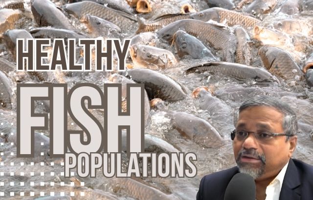 Healthy fish populations are essential for sustainable aquaculture. Discover eco-friendly treatments and their impact on fish welfare.