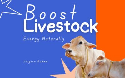Boost Your Livestock Energy Naturally: Tips from Green Innovator Jaiguru Kadam
