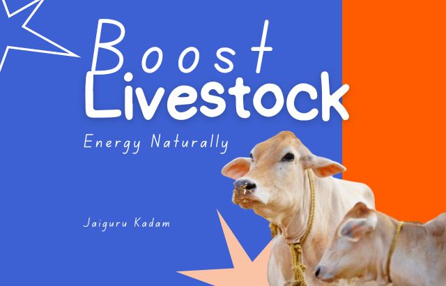 Boost Your Livestock Energy Naturally: Tips from Green Innovator Jaiguru Kadam